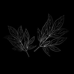 Edits 2 (remix xumi_q)