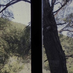‎‎