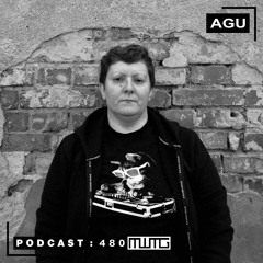 MWTG 480: AGU