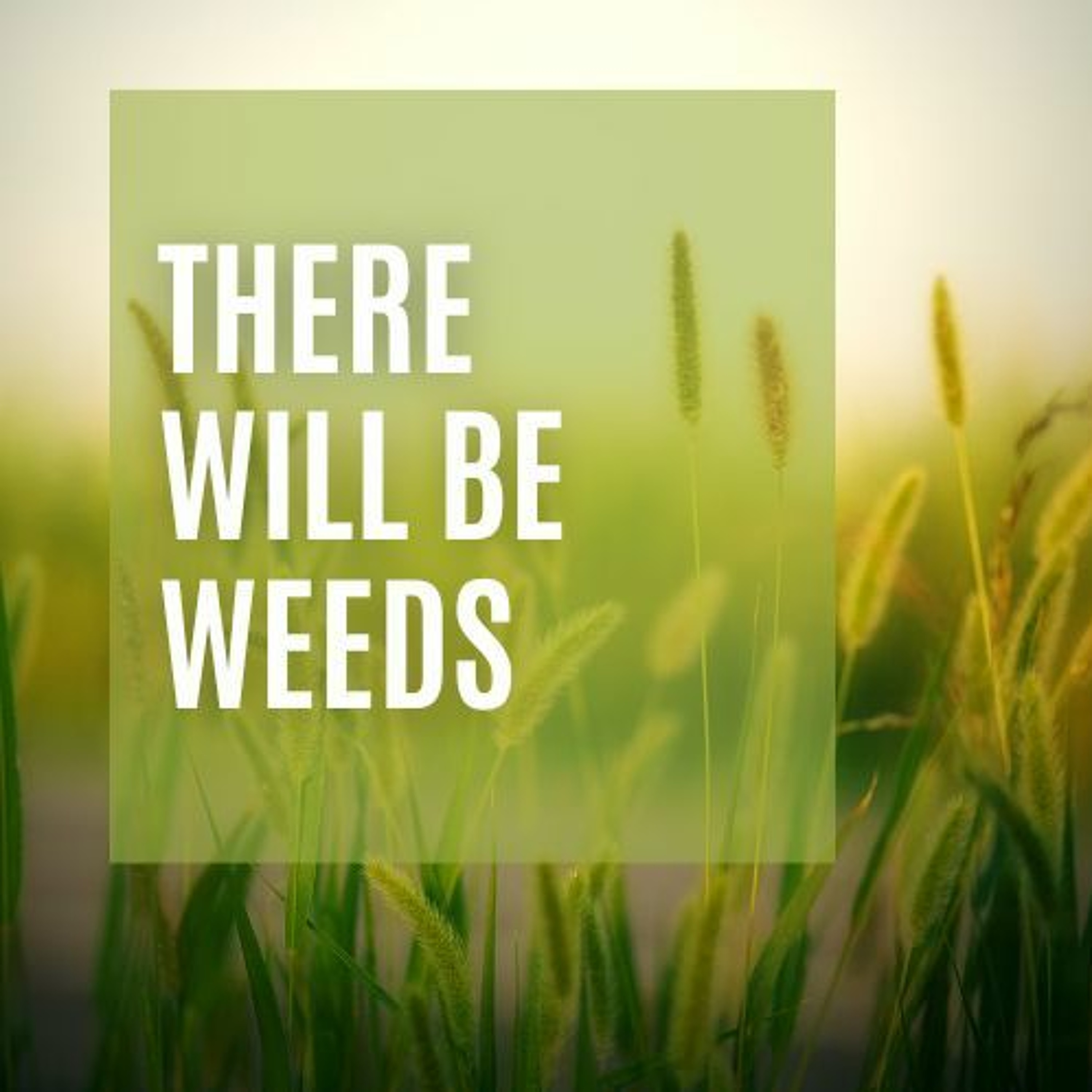 There Will Be Weeds // Collin Baker episode artwork