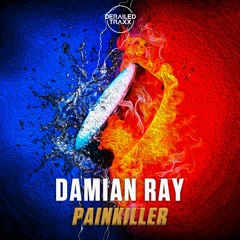 Damian Ray - Painkiller