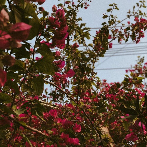 .. عزيز الرسام مع مهند محسن عود