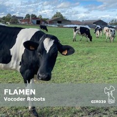 Flamen - Vocoder Robots - Dub Mix