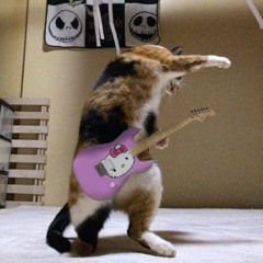 낭만고양이 1절 COVER