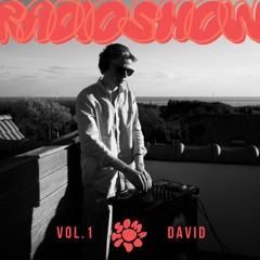 soma radio show vol. 1 mixed by david