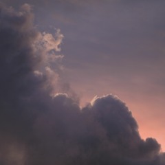Migrating birds appear (naviarhaiku411)