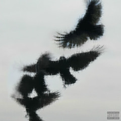 GET FLYY