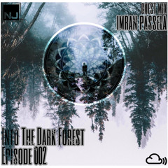 Into The Dark Forest - Episode 002 Guest Mix by Imran Passela
