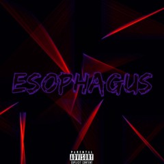 Esophagus - Marc 350