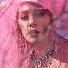 Lady Gaga - Fun Tonight (remix)