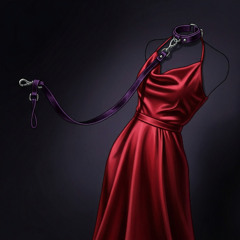 Velvet Leash