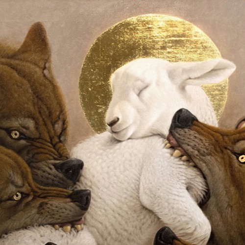 Hypersensitivity w/ BAE BAE - 240323