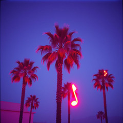 Miami On FIre