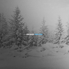 Winter Lock