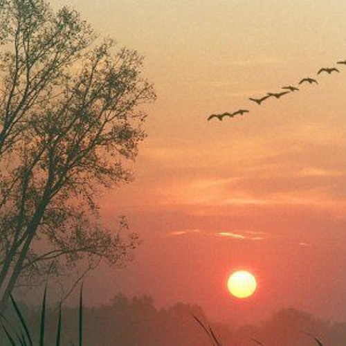 David Borsu: "A World Of My Own"  (Demo Instrumental Edit)