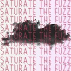 SATURATE THE FUZZ