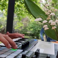 Waahio - Natural Herbie Live - LST#07