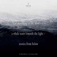 halF storieS [naviarhaiku326]