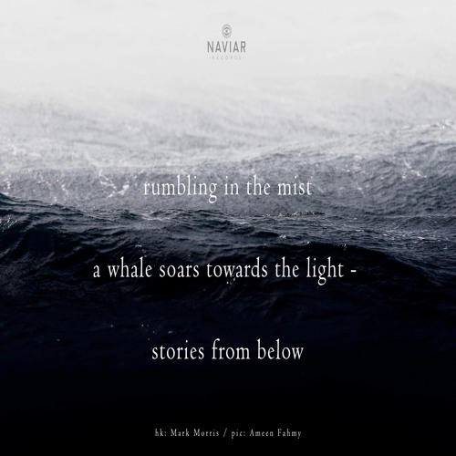 halF storieS [naviarhaiku326]