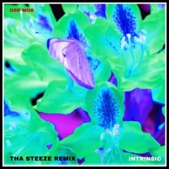 ODD MOB - Intrinsic (Tha Steeze Remix)