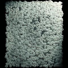 SYMBIOSIUM_Audioguide : Antoine Bertin - Voices of Tiny Gods