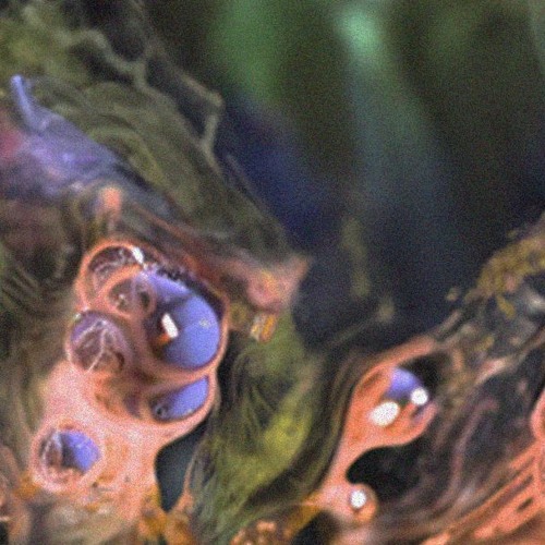 SASHA GEYER @ IT MIRACLE - SATURN RETURNS