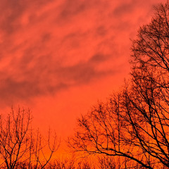 The Weather (Wx) Song