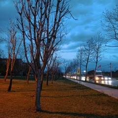 sandım ki (paptircem cover)