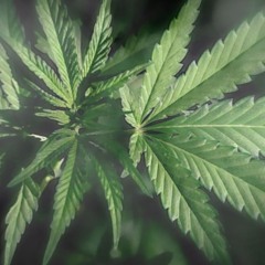 JB - Clouds ft. Grim Kreeper