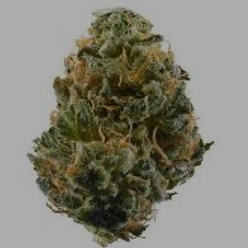 Haze