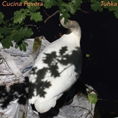 Cucina Povera - Kärpässieni (excerpt)