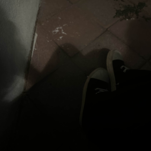 bo2 (roxas)