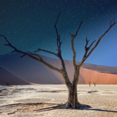 Desert Apparitions