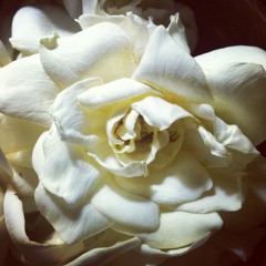 Inner Landscape Meditation for Womxn