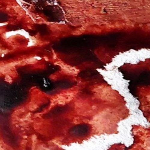 Unrat [2024-11-29 013453]