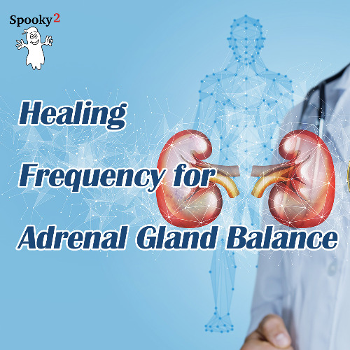 Healing Frequency for Adrenal Gland Balance - Spooky2 Rife Frequencies