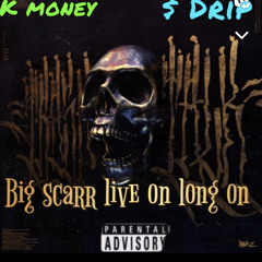 K money $ drip Flutter