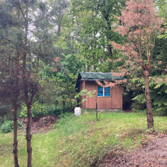Rainy Garden Arbor Meditation 2025-05-18