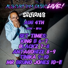 Mr Bruno Jones -  Algorythm Radio Live @ Section 8