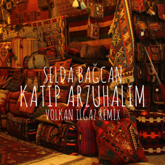 Selda Bağcan - Katip Arzuhalım ( Volkan Ilgaz Remix )