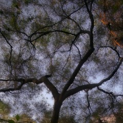 Variations