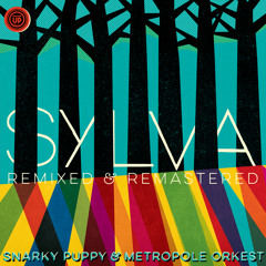 Atchafalaya - Live From Dordrecht, Het Energiehuis / 2014 (2024 Remixed & Remastered)