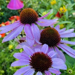 Looking For A City 6/27/21