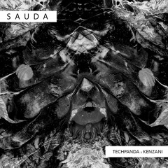 Sauda  | Tech Panda & Kenzani | Official Audio | 2020