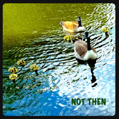 We Meet Over Bridges