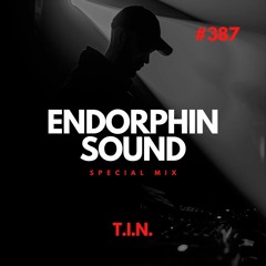 T.I.N. - Special Mix For ENDORPHIN SOUND #387
