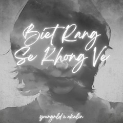 biết rằng sẽ không về - youngnld ft. Akalin