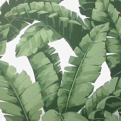 First Non For Sell 2k24 ( Đình Phong Đặt Up Tặng MN )