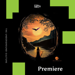 PREMIERE: BODAI - Brave (JFR Remix) [Where The Shadow Ends]