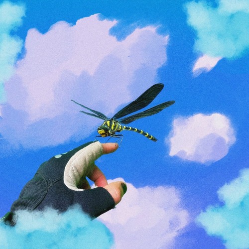 POULISH KID - Dragonfly